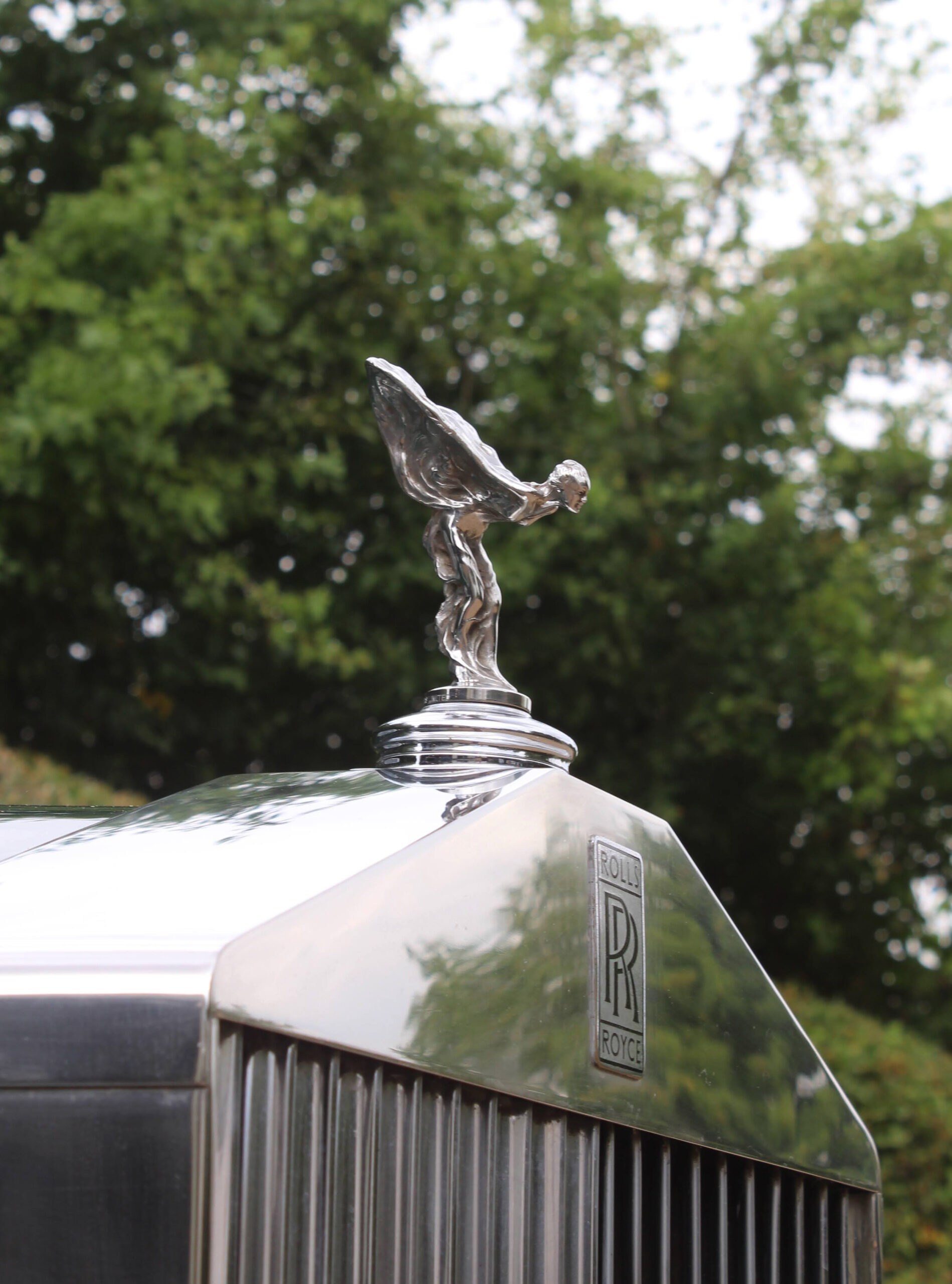 Three quarters view of the spirit of ecstasy on a green rolls royce silver cloud